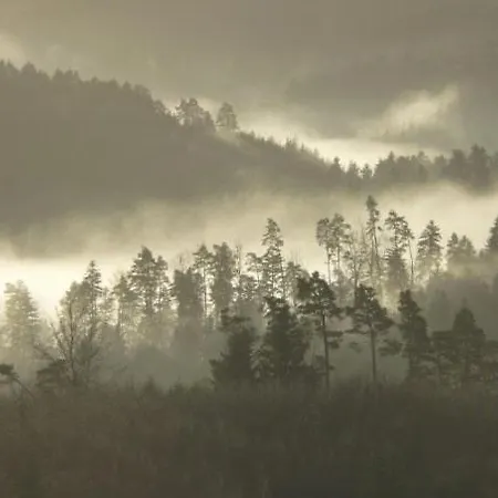 Contemporain Nature Et Vue *